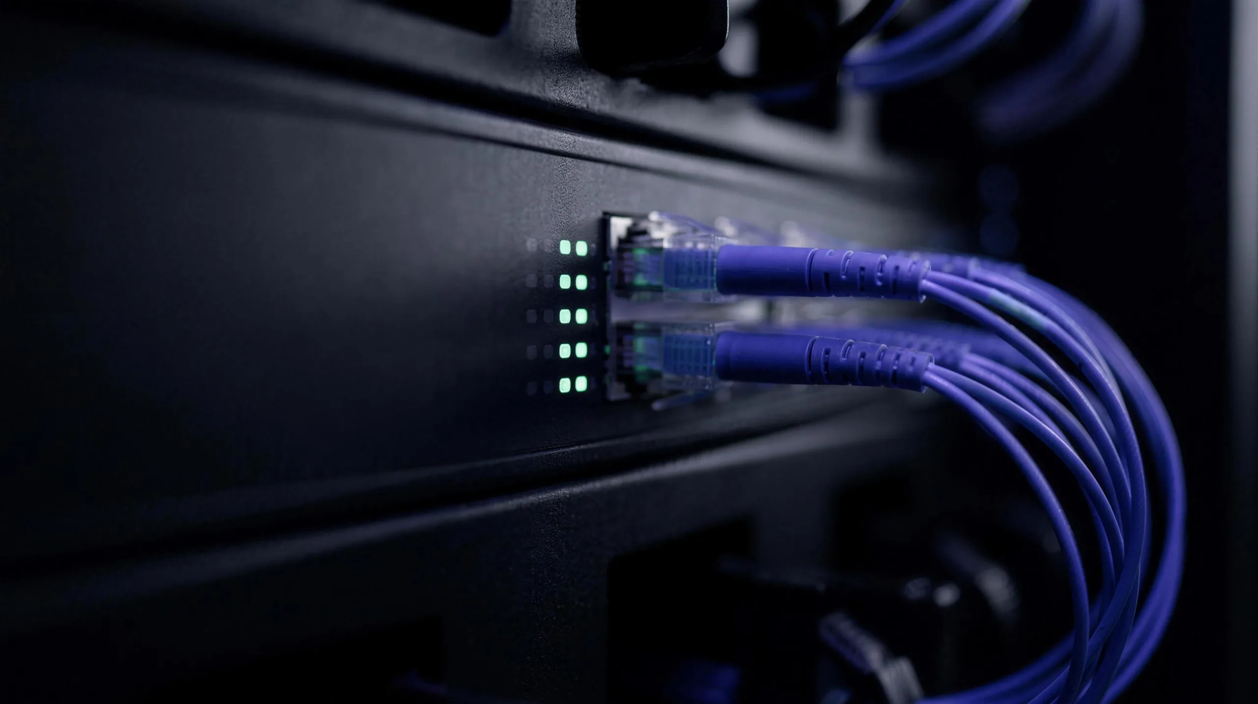 Blue network cables plugged into a rack switch, link lights glowing